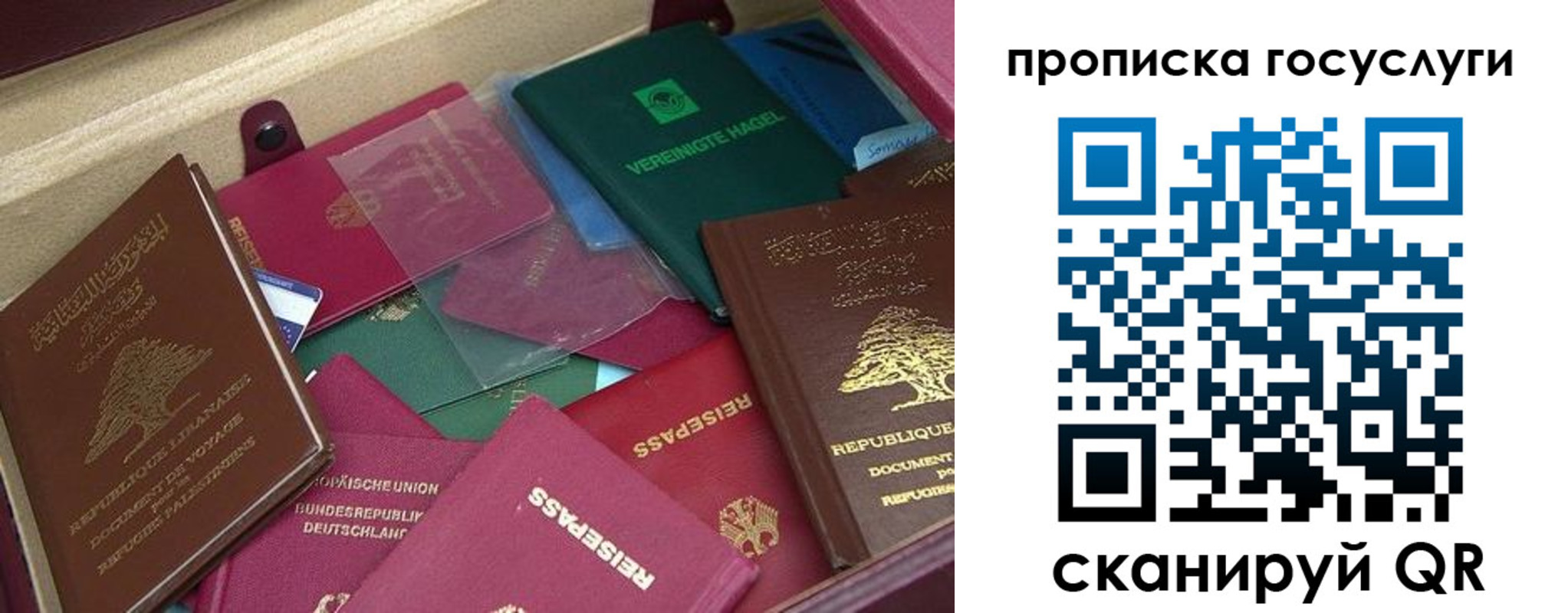прописка гарантия в Белогорске